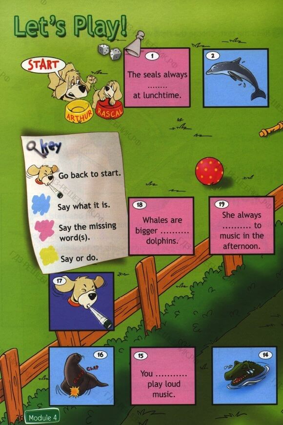 Английский язык ответь на вопросы пользуясь подсказками. Аудио к spotlight 4 класс рабочая тетрадь. Английский язык ответь на вопросы пользуясь подсказками. Do the seals usually clap at lunchtime. Do the seals usually clap at lunchtime.