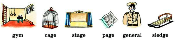Page general. Gym Cage Stage Page General Sledge. Перевод слов Gym Cage Stage Page General Sledge. Gym Cage Stage Page General Sledge как произносится. Как переводится слово Cage.