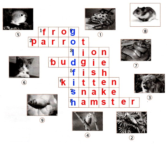Do the crossword puzzle. Write the names of the animals (1−8) and get a new word (9)