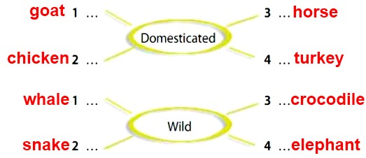 Domesticated or wild? Look again and write the names of animals in Ex.4 in your notebooks