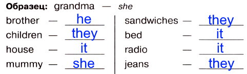 3. Замени существительные соответствующими местоимениями he, she it, they.